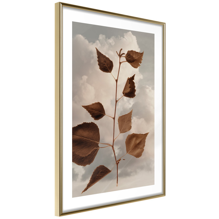 Wall Poster September - plant with brown leaves against sky and clouds in sepia 123620 additionalImage 6