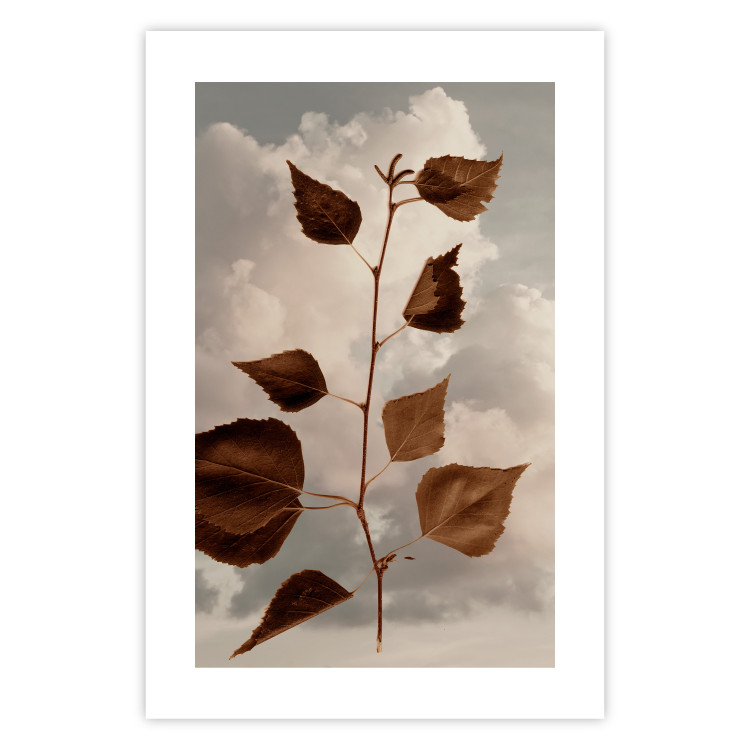 Wall Poster September - plant with brown leaves against sky and clouds in sepia 123620 additionalImage 19