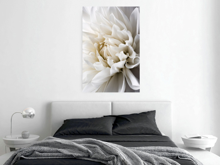 Wall Poster White Dahlia - velvety white flower of the plant with a romantic character 125720 additionalImage 17