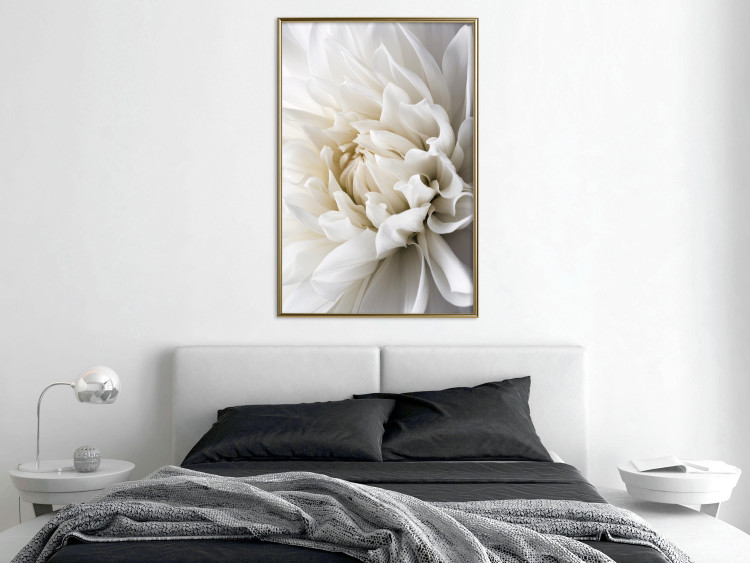Wall Poster White Dahlia - velvety white flower of the plant with a romantic character 125720 additionalImage 5
