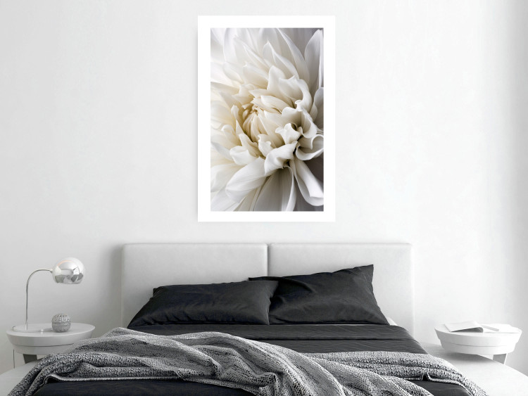 Wall Poster White Dahlia - velvety white flower of the plant with a romantic character 125720 additionalImage 2