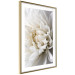 Wall Poster White Dahlia - velvety white flower of the plant with a romantic character 125720 additionalThumb 6