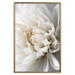 Wall Poster White Dahlia - velvety white flower of the plant with a romantic character 125720 additionalThumb 16