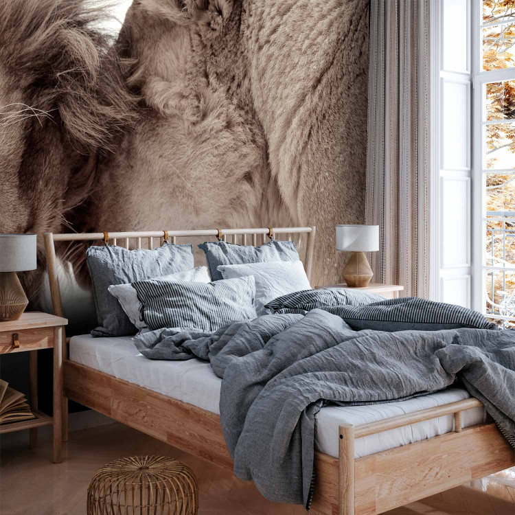 Wall Mural Lion Tenderness (Sepia) 126820 additionalImage 2