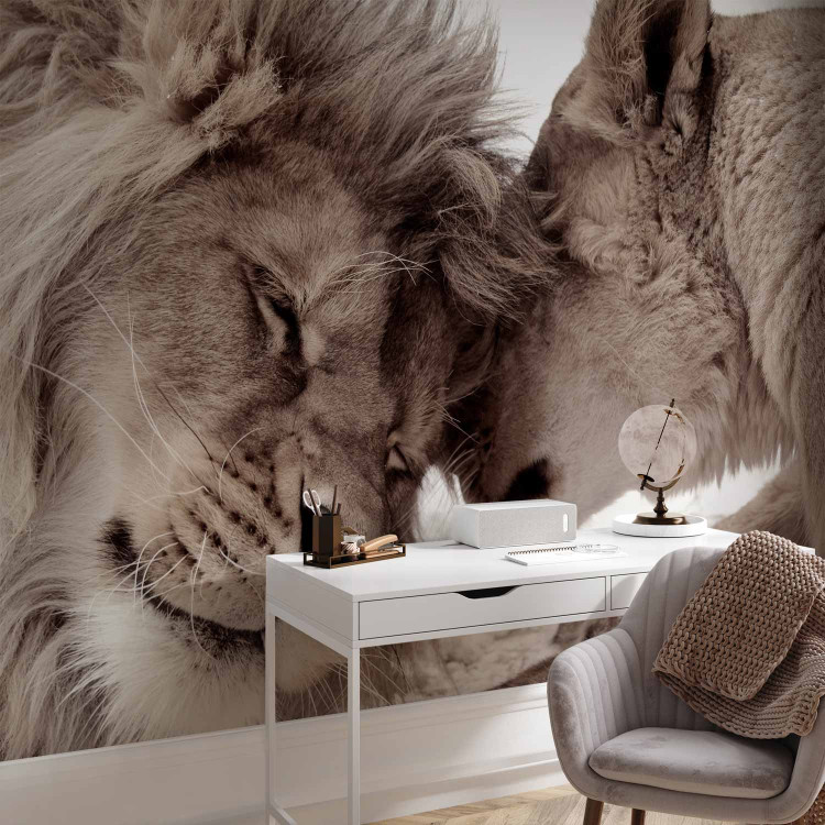 Wall Mural Lion Tenderness (Sepia) 126820 additionalImage 4