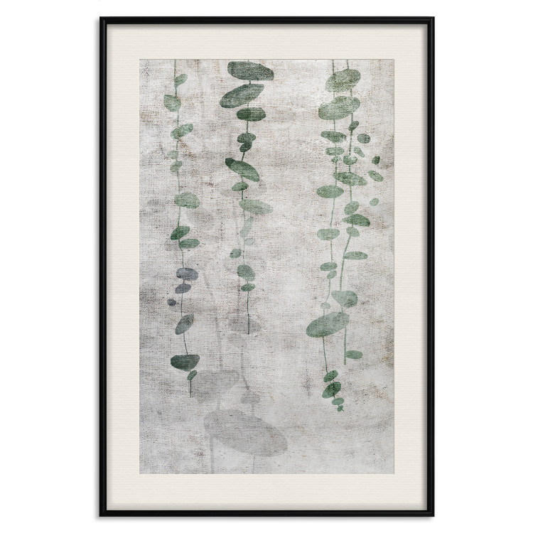 Poster Grapevine - composition of green leaves on a gray fabric texture 127520 additionalImage 19