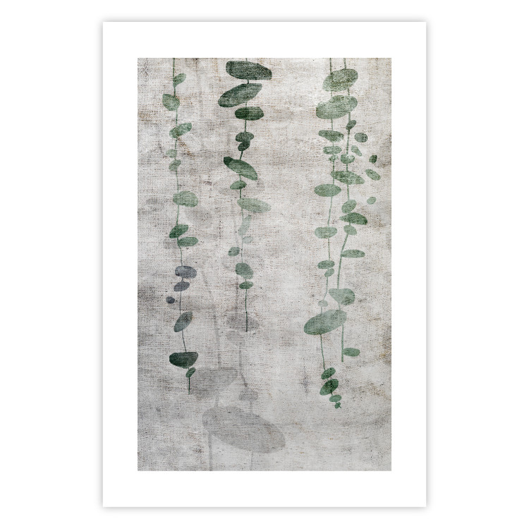 Poster Grapevine - composition of green leaves on a gray fabric texture 127520 additionalImage 25