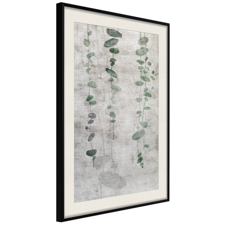 Poster Grapevine - composition of green leaves on a gray fabric texture 127520 additionalImage 2