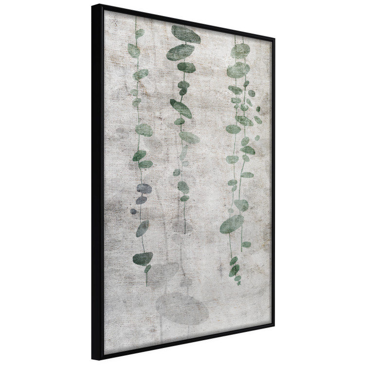Poster Grapevine - composition of green leaves on a gray fabric texture 127520 additionalImage 11