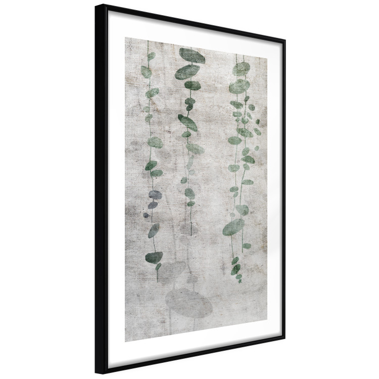 Poster Grapevine - composition of green leaves on a gray fabric texture 127520 additionalImage 6