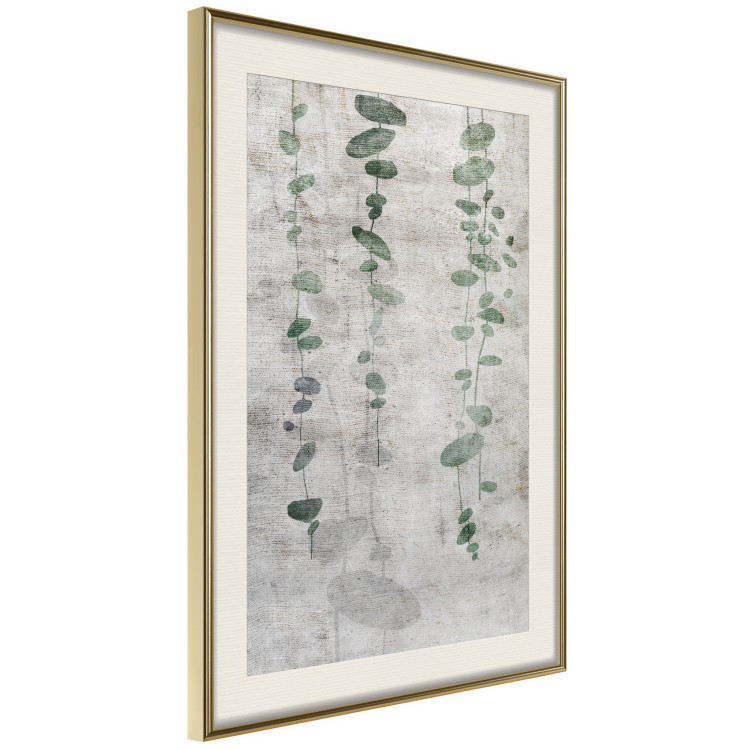 Poster Grapevine - composition of green leaves on a gray fabric texture 127520 additionalImage 3