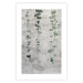 Poster Grapevine - composition of green leaves on a gray fabric texture 127520 additionalThumb 25