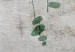 Poster Grapevine - composition of green leaves on a gray fabric texture 127520 additionalThumb 9