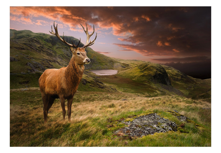 Wall Mural Deer on a hill - animal against a background of green mountains and orange sky 129420 additionalImage 1