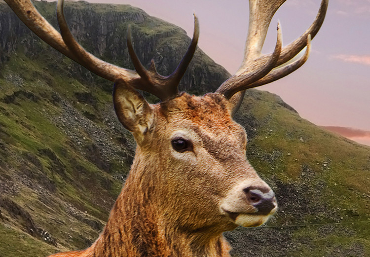 Wall Mural Deer on a hill - animal against a background of green mountains and orange sky 129420 additionalImage 4