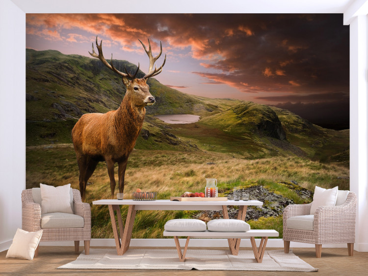 Wall Mural Deer on a hill - animal against a background of green mountains and orange sky 129420