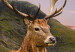 Wall Mural Deer on a hill - animal against a background of green mountains and orange sky 129420 additionalThumb 4