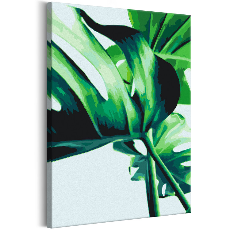 Paint by number Monstera Adansonii 134520 additionalImage 5