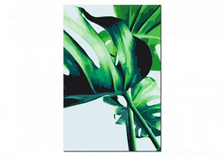 Paint by number Monstera Adansonii 134520 additionalImage 6