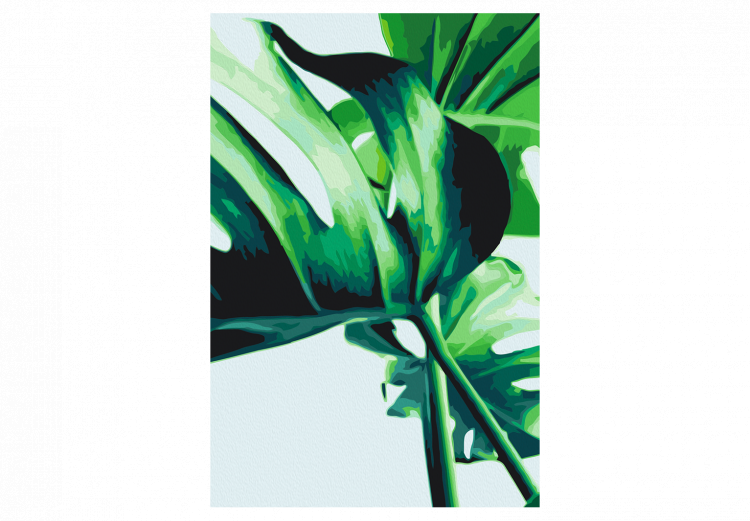 Paint by number Monstera Adansonii 134520 additionalImage 7