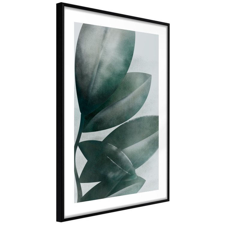 Wall Poster Olive Leaves - plant composition of green leaves on a light background 142320 additionalImage 7