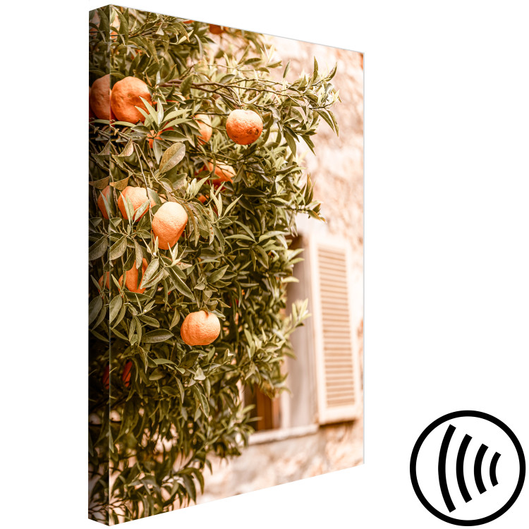 Canvas Urban Fruits (1-piece) - mandarin tree against a building backdrop 145220 additionalImage 6