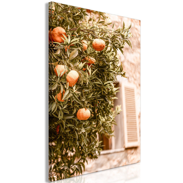 Canvas Urban Fruits (1-piece) - mandarin tree against a building backdrop 145220 additionalImage 2