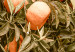 Canvas Urban Fruits (1-piece) - mandarin tree against a building backdrop 145220 additionalThumb 4