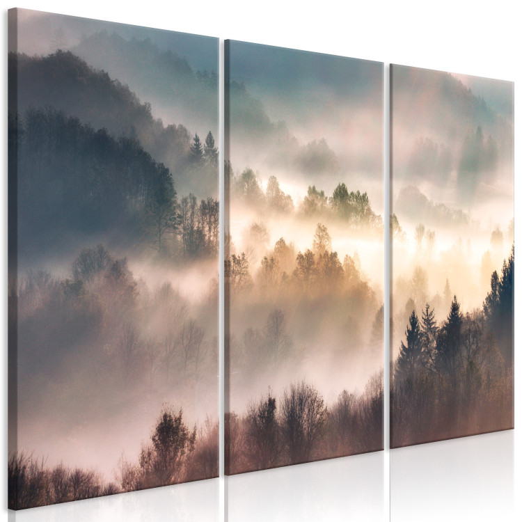 Canvas Forest in Mist - Mountainous Landscape With Trees at Sunrise 151820 additionalImage 2