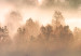 Canvas Forest in Mist - Mountainous Landscape With Trees at Sunrise 151820 additionalThumb 4