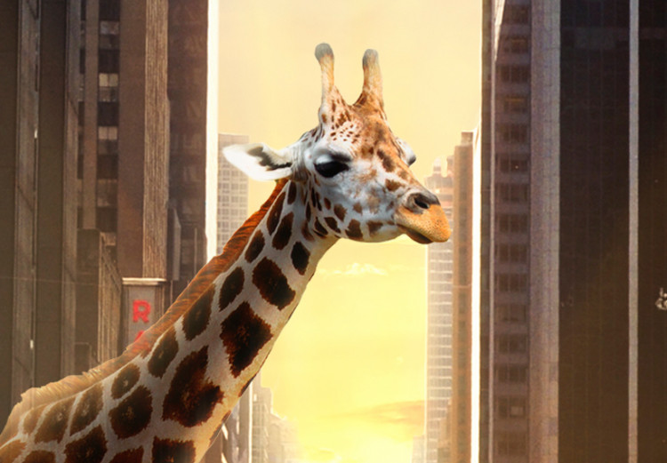 Canvas Print Giraffe in the big city 55720 additionalImage 4