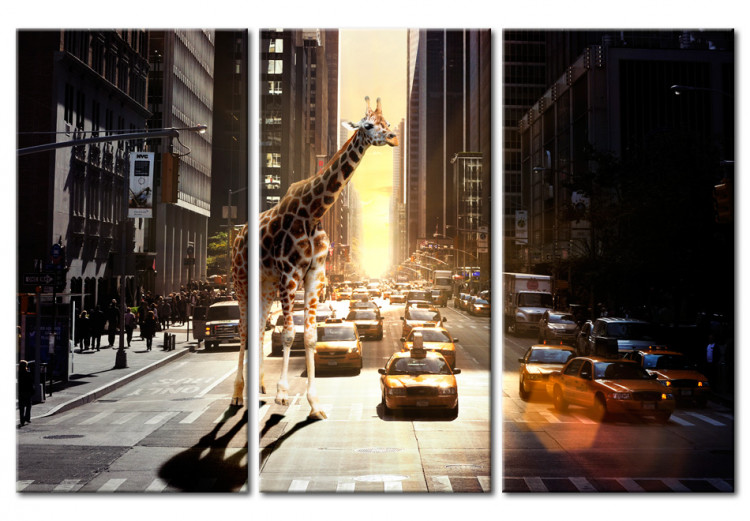Canvas Print Giraffe in the big city 55720