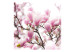 Photo Wallpaper Branch of Blooming Magnolia - Magnolia Tree with a Close-up of Flowers 60420 additionalThumb 1