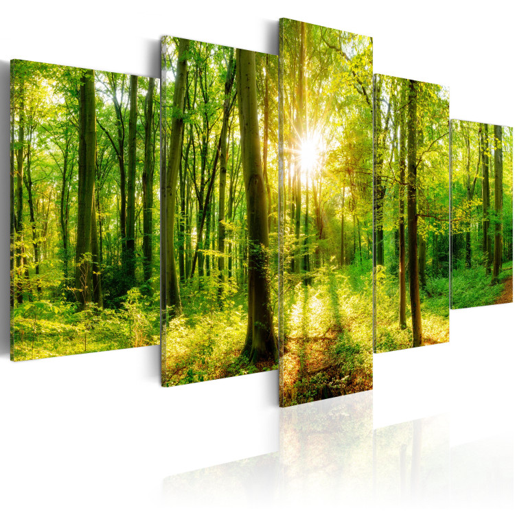 Canvas Print Forest Tale (5-part) - sunlight glow among green treetops 94220 additionalImage 2