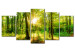 Canvas Print Forest Tale (5-part) - sunlight glow among green treetops 94220