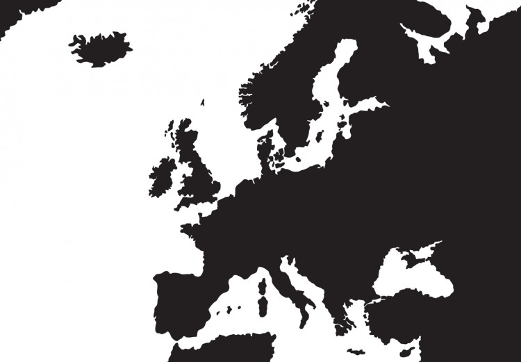 Decorative Pinboard World Map: Black & White Elegance [Cork Map] 96020 additionalImage 5