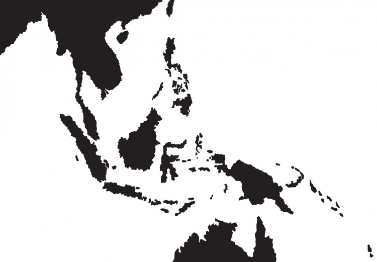 Decorative Pinboard World Map: Black & White Elegance [Cork Map] 96020 additionalImage 6