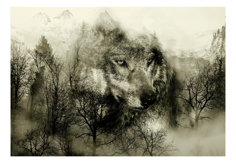 Wall Mural Predator from the mountains - wolf among forest trees in the mountains in grey 108230 additionalImage 1