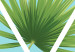 Wall Poster Geometric palm - abstract composition with leaves on a triangle background 114330 additionalThumb 9