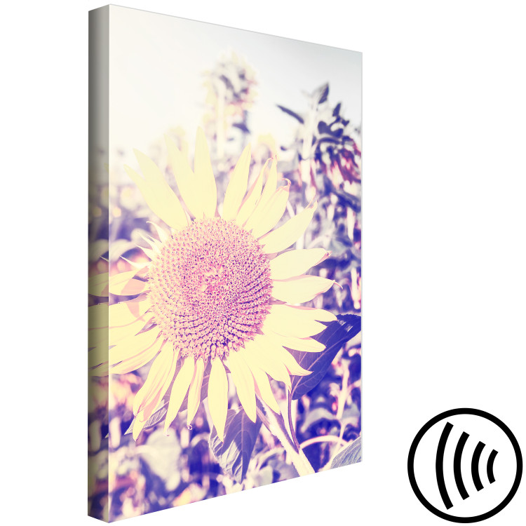 Canvas The memory of summer - a sunflower in a field with a purple glow 116430 additionalImage 6