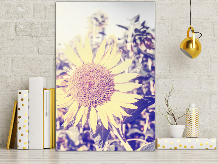 Canvas The memory of summer - a sunflower in a field with a purple glow 116430 additionalImage 3