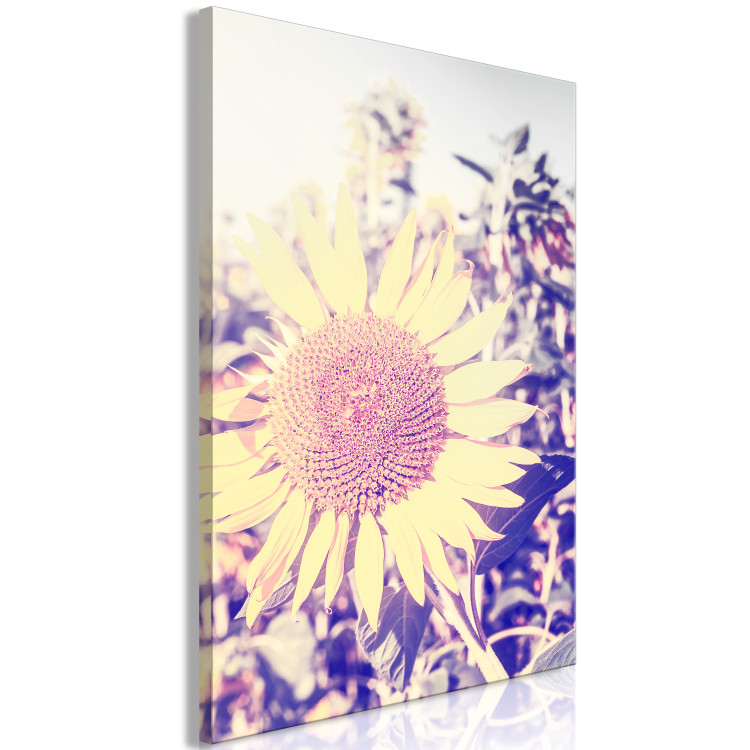 Canvas The memory of summer - a sunflower in a field with a purple glow 116430 additionalImage 2