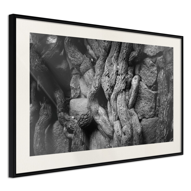 Wall Poster Overgrown Stones - black and white texture with wood and stones motif 123130 additionalImage 3