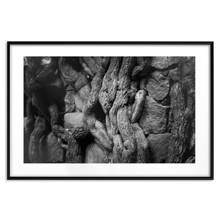 Wall Poster Overgrown Stones - black and white texture with wood and stones motif 123130 additionalImage 26