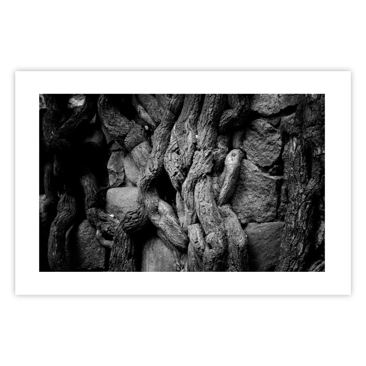 Wall Poster Overgrown Stones - black and white texture with wood and stones motif 123130 additionalImage 15