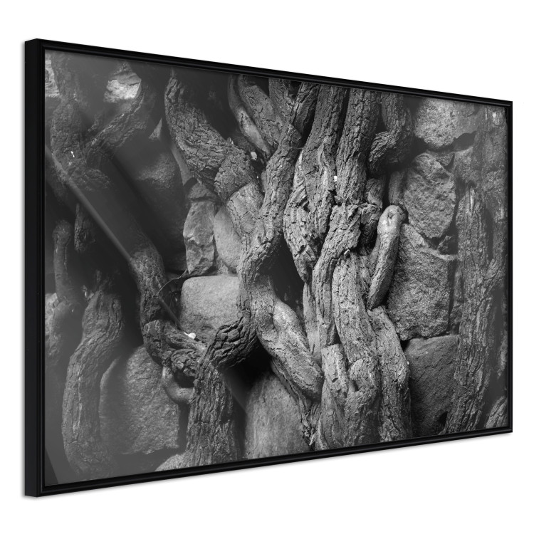 Wall Poster Overgrown Stones - black and white texture with wood and stones motif 123130 additionalImage 12