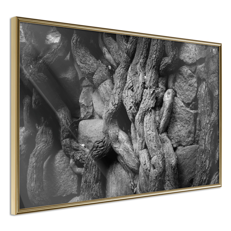 Wall Poster Overgrown Stones - black and white texture with wood and stones motif 123130 additionalImage 14