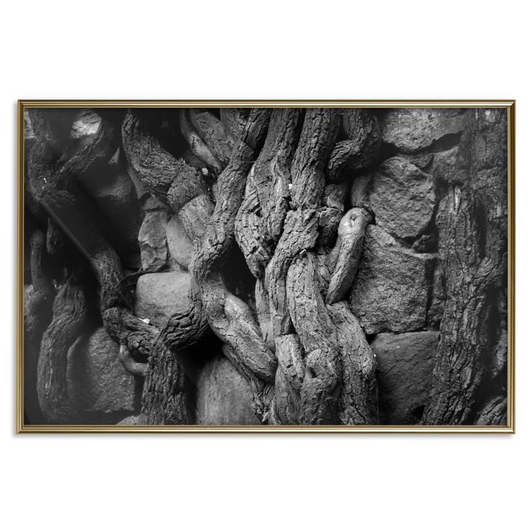Wall Poster Overgrown Stones - black and white texture with wood and stones motif 123130 additionalImage 17