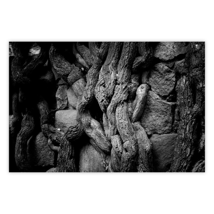 Wall Poster Overgrown Stones - black and white texture with wood and stones motif 123130