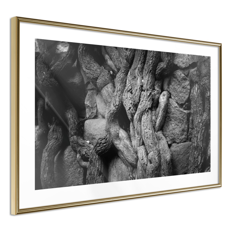 Wall Poster Overgrown Stones - black and white texture with wood and stones motif 123130 additionalImage 8